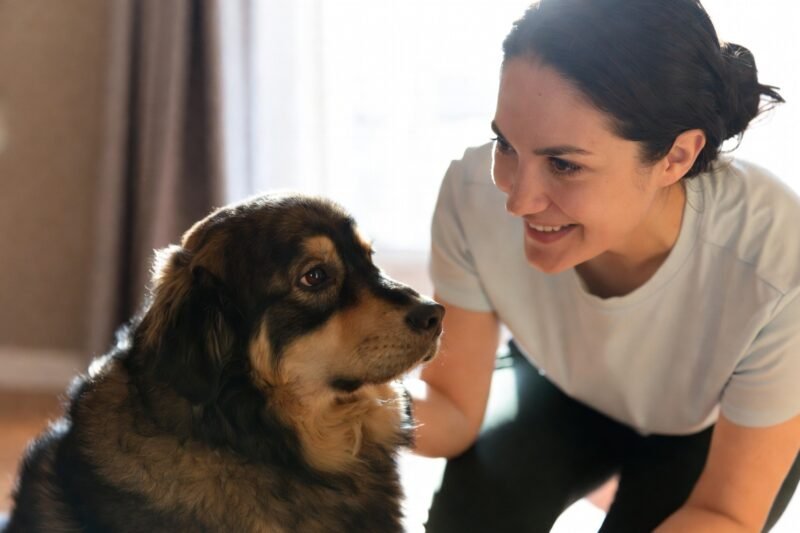 Pet Trainers Swear by These Simple Tips for Better Behavior at Home